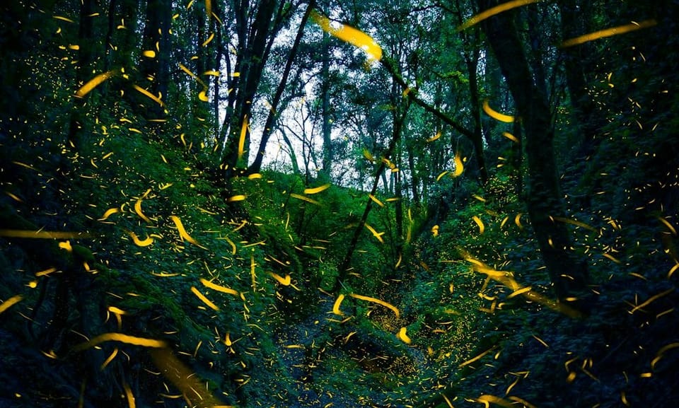 in the hands of the wonder-struck